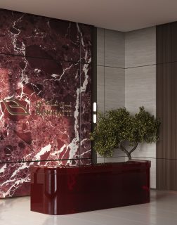 Hall luxueux des appartements Ruby avec mur en marbre